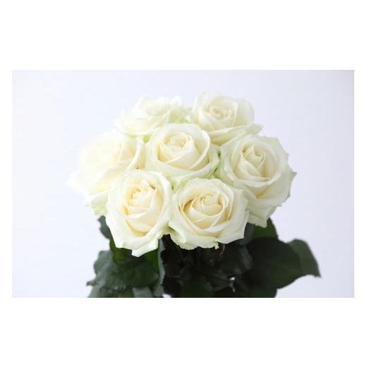 ふるさと納税 花・苗木 花束 滋賀県 守山市 Flower Bouquet（バラのブーケ）15本 白系 AN-0002-02 白系の画像