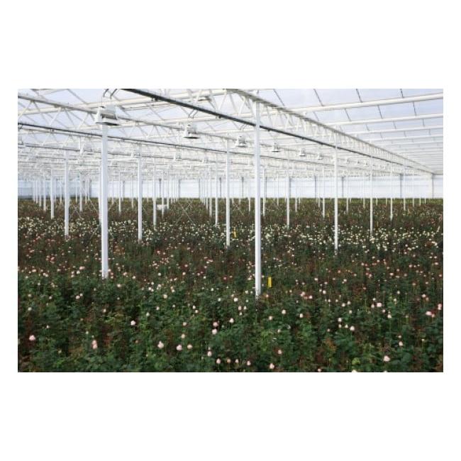 ふるさと納税 花・苗木 花束 滋賀県 守山市 Flower Bouquet（バラのブーケ）15本 オレンジ系 AN-0002-06 オレンジ系の画像
