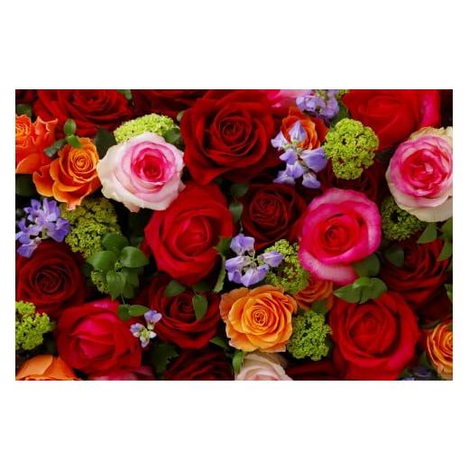 ふるさと納税 花・苗木 花束 滋賀県 守山市 Flower Bouquet（バラのブーケ）20本 赤系 AN-0003-01 赤系の画像