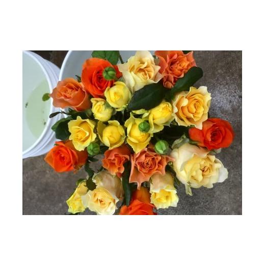 ふるさと納税 花・苗木 花束 滋賀県 守山市 Flower Bouquet（バラのブーケ）20本 濃いピンク系 AN-0003-03 濃いピンク系の画像