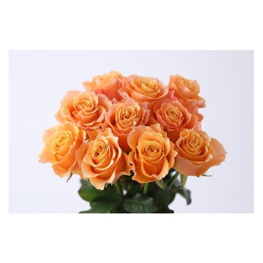 ふるさと納税 花・苗木 花束 滋賀県 守山市 Flower Bouquet（バラのブーケ）20本 オレンジ系 AN-0003-06 オレンジ系の画像