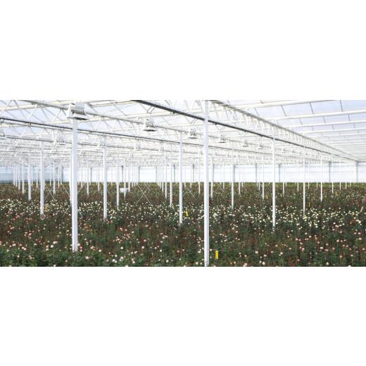 ふるさと納税 花・苗木 花束 滋賀県 守山市 Flower Bouquet（バラのブーケ）20本 オレンジ系 AN-0003-06 オレンジ系の画像