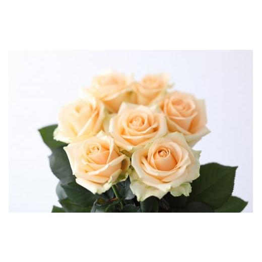 ふるさと納税 花・苗木 花束 滋賀県 守山市 Flower Bouquet（バラのブーケ）20本 アプリコット系 AN-0003-07 アプリコット系の画像