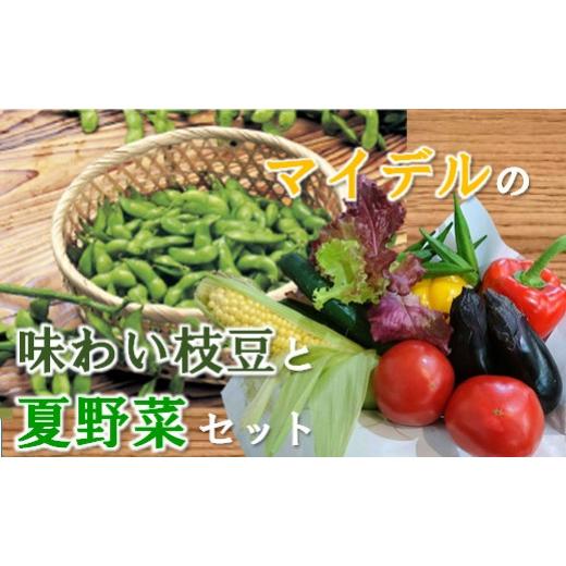 ふるさと納税 セット・詰合せ 山形県 三川町 道の駅マイデルの味わい枝豆と夏野菜セット 8月上旬頃より配送