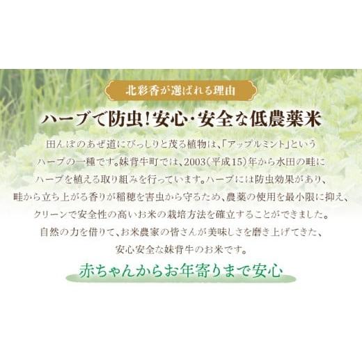 ふるさと納税 米 ゆめぴりか 北海道 妹背牛町 令和8年産 妹背牛産 北彩香 ゆめぴりかvsプレミアムななつぼし 特Ａ食べ比べ 白米20kg〈一括〉2026年10月発送 一…_6