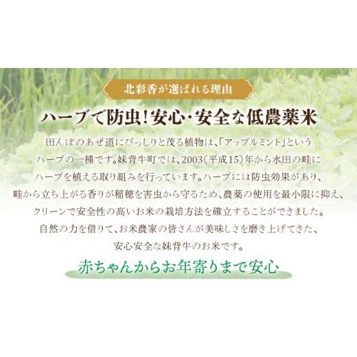 ふるさと納税 米 ゆめぴりか 北海道 妹背牛町 令和8年産 妹背牛産 北彩香 ゆめぴりかvsプレミアムななつぼし 特Ａ食べ比べ 白米20kg〈一括〉2026年11月発送 一…_6