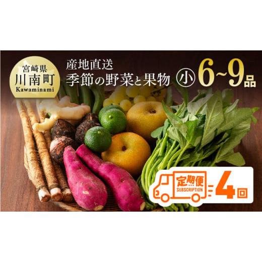 ふるさと納税 セット・詰合せ 宮崎県 川南町  定期便 産直おすず村 季節の野菜と果物 厳選 詰め合わせセット（小） 旬野菜 フルーツ 直売所 産地直送 宮崎県産…_1