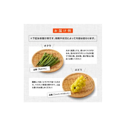 ふるさと納税 セット・詰合せ 宮崎県 川南町  定期便 産直おすず村 季節の野菜と果物 厳選 詰め合わせセット（小） 旬野菜 フルーツ 直売所 産地直送 宮崎県産…_3