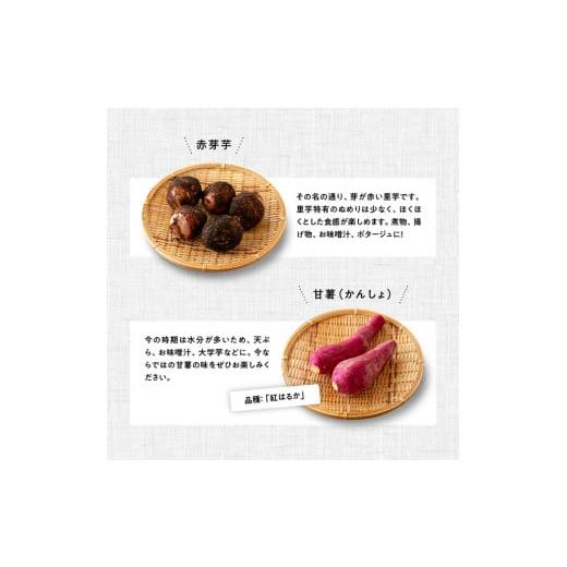 ふるさと納税 セット・詰合せ 宮崎県 川南町  定期便 産直おすず村 季節の野菜と果物 厳選 詰め合わせセット（小） 旬野菜 フルーツ 直売所 産地直送 宮崎県産…_4