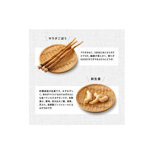 ふるさと納税 セット・詰合せ 宮崎県 川南町  定期便 産直おすず村 季節の野菜と果物 厳選 詰め合わせセット（小） 旬野菜 フルーツ 直売所 産地直送 宮崎県産…_5