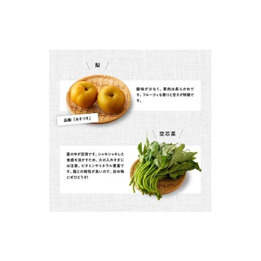 ふるさと納税 セット・詰合せ 宮崎県 川南町  定期便 産直おすず村 季節の野菜と果物 厳選 詰め合わせセット（小） 旬野菜 フルーツ 直売所 産地直送 宮崎県産…_6