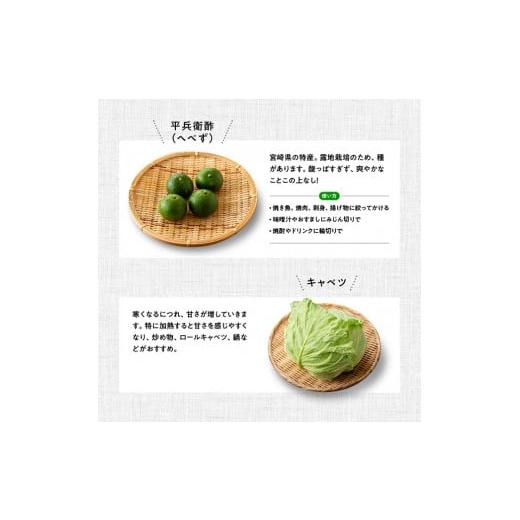 ふるさと納税 セット・詰合せ 宮崎県 川南町  定期便 産直おすず村 季節の野菜と果物 厳選 詰め合わせセット（小） 旬野菜 フルーツ 直売所 産地直送 宮崎県産…_7