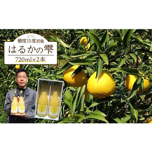 ふるさと納税 果汁飲料 みかん 長崎県 長与町 ギフト可 糖度15度前後 はるかの雫(720ml×2本)長与町/岩永農園 EAZ001 みかん ミカン ジュース 果物 フルー…