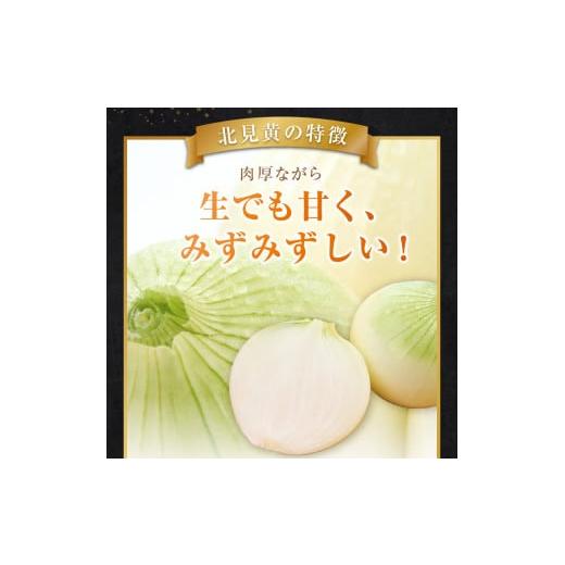 ふるさと納税 北海道 北見市 【予約：2024年9月下旬から順次発送】幻の北見黄 北海道北見産 10kg ( 野菜 たまねぎ 玉ねぎ タマネギ Lサイズ 10キロ 詰合せ )【…｜furusatochoice｜04