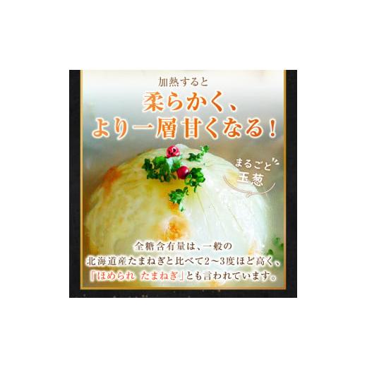 ふるさと納税 北海道 北見市 【予約：2024年9月下旬から順次発送】幻の北見黄 北海道北見産 10kg ( 野菜 たまねぎ 玉ねぎ タマネギ Lサイズ 10キロ 詰合せ )【…｜furusatochoice｜05