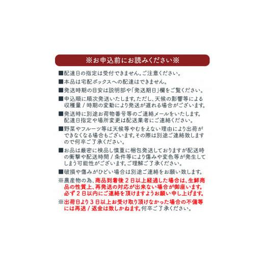 ふるさと納税 山梨県 丹波山村 朝もぎ直送！『桃　白鳳系』5〜8玉 【高機能共選機使用】選び抜かれた桃《もも 先行予約》 ／ フルーツ 果物 くだもの 桃 もも …｜furusatochoice｜08