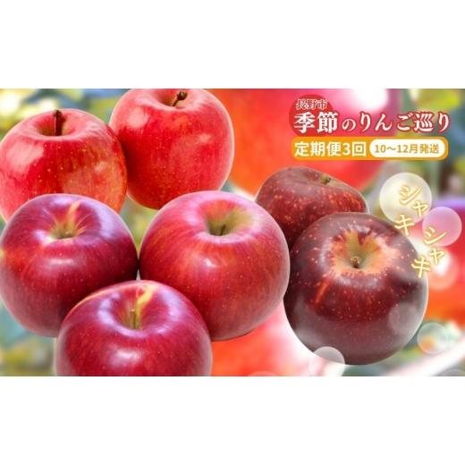 ふるさと納税 りんご 長野県 長野市 長野県 長野市産 りんごの定期便 10月〜12月 3ヵ月連続5kg(12〜20玉)ずつお届け あきばえ・シナノスイート・サンふじ(矢…