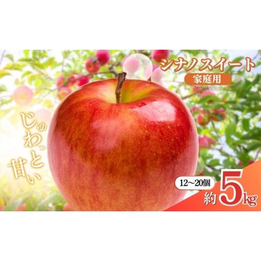 ふるさと納税 りんご 長野県 長野市 矢島農園 長野市産 シナノスイート 家庭用 5kg(12〜20玉) 2026年10月下旬頃発送予定 | りんご フルーツ 果物 人気 おす…