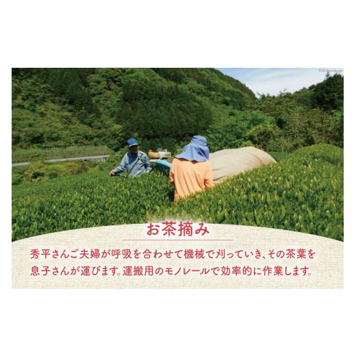 ふるさと納税 紅茶 茶葉・ティーバッグ 高知県 津野町 紅茶 四万十紅茶 ティーバッグ 2.5g × 12個入り × 3袋 秀平農園 高知県 津野町 26am0001 お茶 茶 ティ…_4