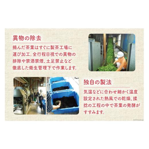 ふるさと納税 紅茶 茶葉・ティーバッグ 高知県 津野町 紅茶 四万十紅茶 ティーバッグ 2.5g × 12個入り × 3袋 秀平農園 高知県 津野町 26am0001 お茶 茶 ティ…_5