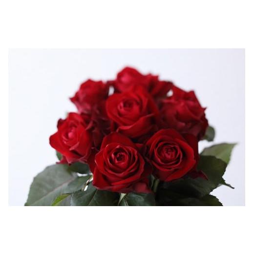 ふるさと納税 花・苗木 花束 滋賀県 守山市 定期便:12カ月 國枝バラ園から直送 Flower Bouquet(20本の花束)赤 定期便:12カ月 國枝バラ園から直送 Flower …