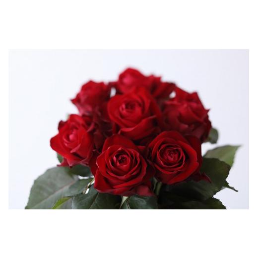 ふるさと納税 花・苗木 花束 滋賀県 守山市 定期便:12カ月 國枝バラ園から直送 Flower Bouquet(10本の花束)赤系 赤系