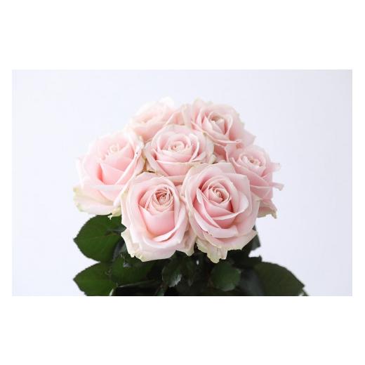 ふるさと納税 花・苗木 花束 滋賀県 守山市 定期便:12カ月 國枝バラ園から直送 Flower Bouquet(10本の花束)淡いピンク系 淡いピンク系