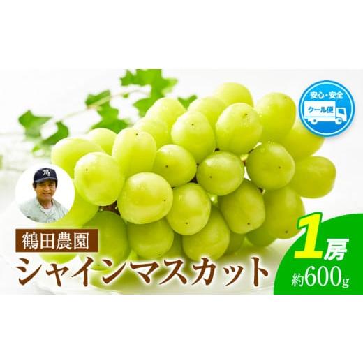 ふるさと納税 ぶどう マスカット 熊本県 荒尾市 秀品 先行予約 シャインマスカット 鶴田農園 約500〜600g (1房) 熊本県荒尾市産[8月下旬-9月下旬頃出荷]熊…