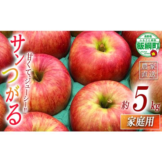 ふるさと納税 りんご 長野県 飯綱町 りんご サンつがる 家庭用 5kg 丸西農園 沖縄県への配送不可 2026年9月上旬頃から2026年9月中旬頃まで順次発送予定 令和8…