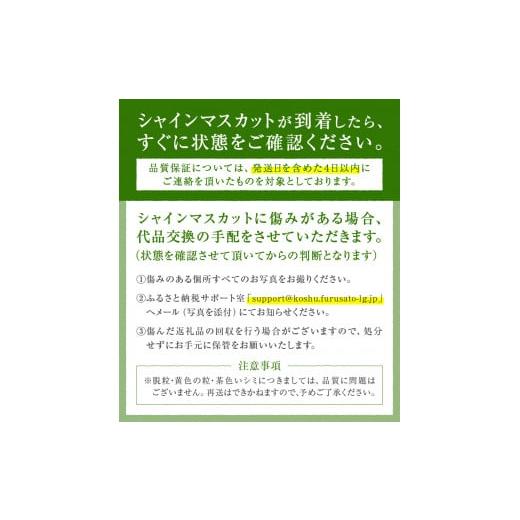 ふるさと納税 山梨県 甲州市 「マルエス農園」ピッテロビアンコ 合計1.2kg以上【2024年発送】（MS）B15-402 合計1 2kg以上