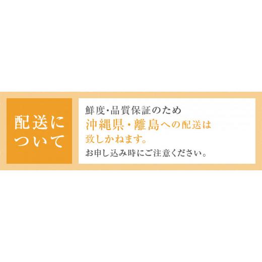 ふるさと納税 山梨県 甲州市 「マルエス農園」ピッテロビアンコ 合計1.2kg以上【2024年発送】（MS）B15-402 合計1 2kg以上