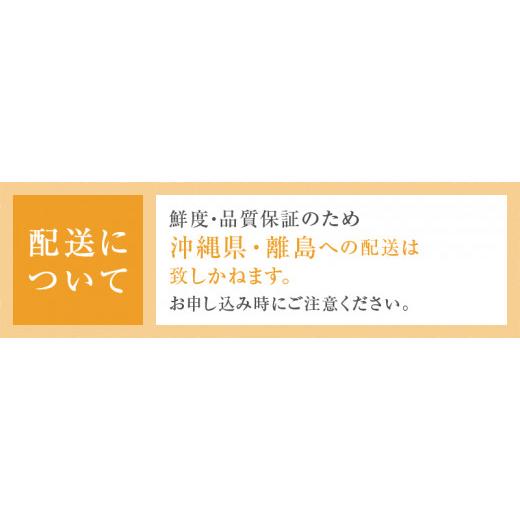 最終セール価格 ふるさと納税 山梨県 甲州市 「マルエス農園」ピッテロビアンコ 合計1.2kg以上（MS）B15-402 【山梨県 ピッテロビアンコ フルーツ ピッテロビアンコ 大粒 ぶど…