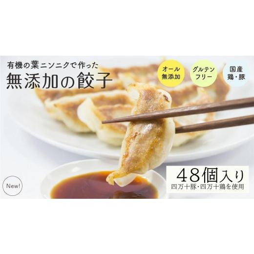 ふるさと納税 肉 高知県 須崎市 葉 にんにく と 四万十豚 で作った 最高級餃子 ( 6個入り × 8 パック ) 餃子 ギョーザ 焼き餃子 やきぎょうざ ぎょーざ こ…