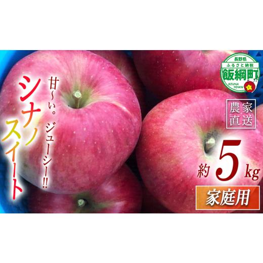 ふるさと納税 りんご 長野県 飯綱町 りんご シナノスイート 家庭用 5kg 丸西農園 沖縄県への配送不可 2026年10月中旬頃から2026年11月中旬頃まで順次発送予定 …