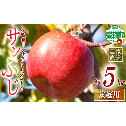 ふるさと納税 りんご 長野県 飯綱町 りんご サンふじ 家庭用 5kg 丸西農園 沖縄県への配送不可 2026年12月中旬頃から2027年1月上旬頃まで順次発送予定 令和8年…