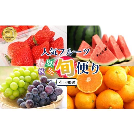 ふるさと納税 果物の詰合せ 熊本県 和水町  定期便４回 春夏秋冬 旬の人気フルーツ 熊本県なごみ町 | 熊本県 熊本 くまもと 和水町 なごみ フルーツ 果物 いち…_1