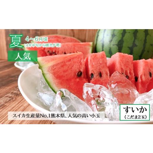 ふるさと納税 果物の詰合せ 熊本県 和水町  定期便４回 春夏秋冬 旬の人気フルーツ 熊本県なごみ町 | 熊本県 熊本 くまもと 和水町 なごみ フルーツ 果物 いち…_3