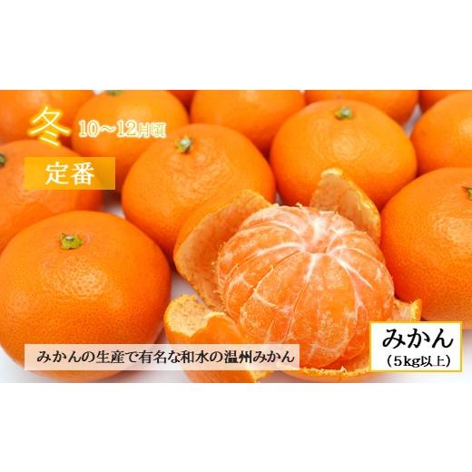 ふるさと納税 果物の詰合せ 熊本県 和水町  定期便４回 春夏秋冬 旬の人気フルーツ 熊本県なごみ町 | 熊本県 熊本 くまもと 和水町 なごみ フルーツ 果物 いち…_5