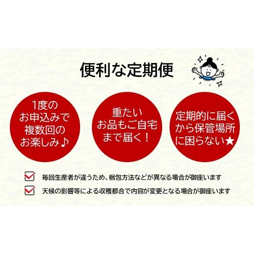 ふるさと納税 果物の詰合せ 熊本県 和水町  定期便４回 春夏秋冬 旬の人気フルーツ 熊本県なごみ町 | 熊本県 熊本 くまもと 和水町 なごみ フルーツ 果物 いち…_7