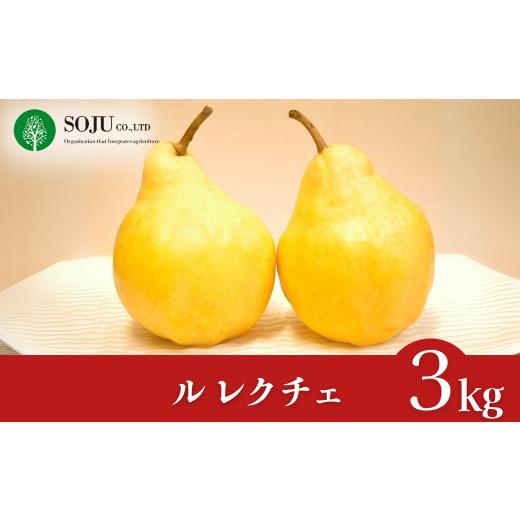 ふるさと納税 梨 新潟県 三条市 ル レクチェ 約3kg 洋梨 JGAP認証農場 新潟県 三条市産 ル レクチエ 期間限定 冬限定 幻の西洋梨 フルーツ 秋 旬 洋梨 ル・レ…