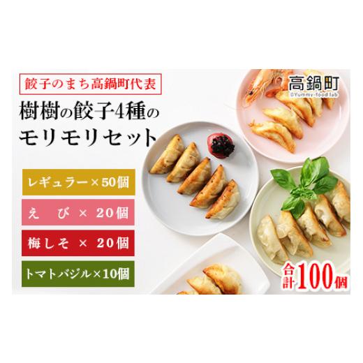 ふるさと納税 宮崎県 高鍋町 [樹樹の餃子4種のモリモリセット計100個]翌月末迄に順次出荷