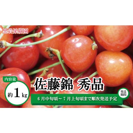 ふるさと納税 長野県 須坂市 佐藤錦 さくらんぼ 秀品 約1kg(バラ詰)[黒岩果樹園] 2024年発送 ※6月中旬頃〜7月上旬頃まで順次発送予定