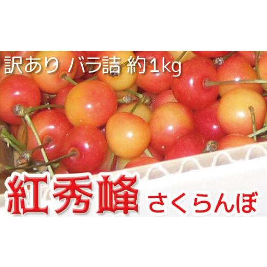 ふるさと納税 長野県 須坂市 紅秀峰 さくらんぼ 訳あり 約1kg(バラ詰)[黒岩果樹園] 2024年発送 ※6月下旬頃〜7月上旬頃まで順次発送予定