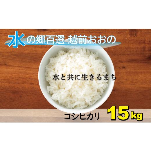 ふるさと納税 米 コシヒカリ 福井県 大野市 令和7年産 こしひかり(福井県大野市産)エコファーマー米(白米)15kg(5kg×3袋)