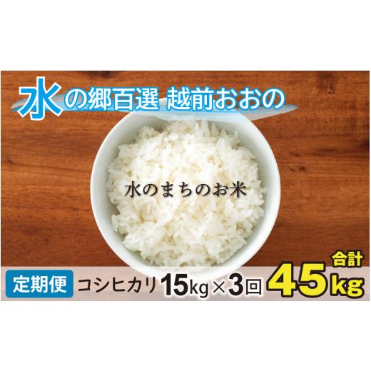 ふるさと納税 米 コシヒカリ 福井県 大野市 令和7年産 3ヶ月定期便 こしひかり 15kg×3回 計45kg(白米)「エコファーマー米」−水のまちのお米−