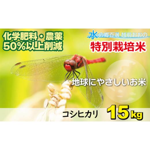 ふるさと納税 米 コシヒカリ 福井県 大野市 令和7年産 こしひかり 15kg 白米 減農薬・減化学肥料 「特別栽培米」−地球にやさしいお米−