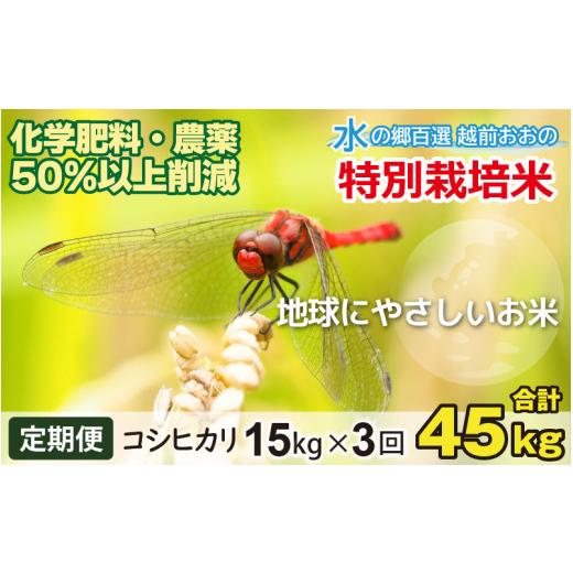 ふるさと納税 米 コシヒカリ 福井県 大野市 令和7年産 3ヶ月定期便 こしひかり 15kg ×3回 計 45kg 白米 減農薬・減化学肥料 「特別栽培米」−地球にやさし…