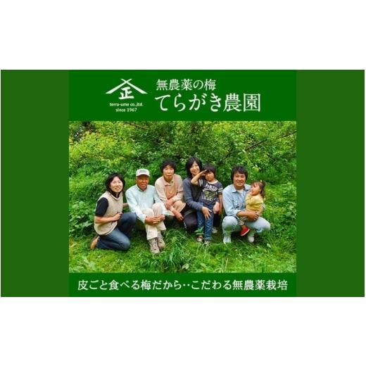 ふるさと納税 加工品等 梅干 和歌山県 みなべ町 農薬を使用していない南高梅　青梅1kg、完熟梅1kg　trgk003A_2