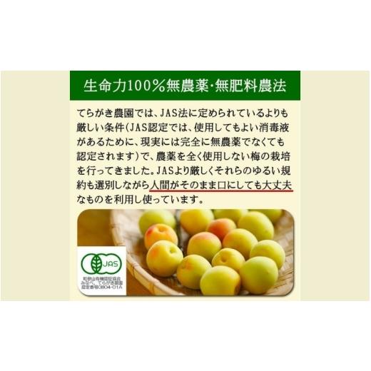 ふるさと納税 加工品等 梅干 和歌山県 みなべ町 農薬を使用していない南高梅　青梅1kg、完熟梅1kg　trgk003A_3