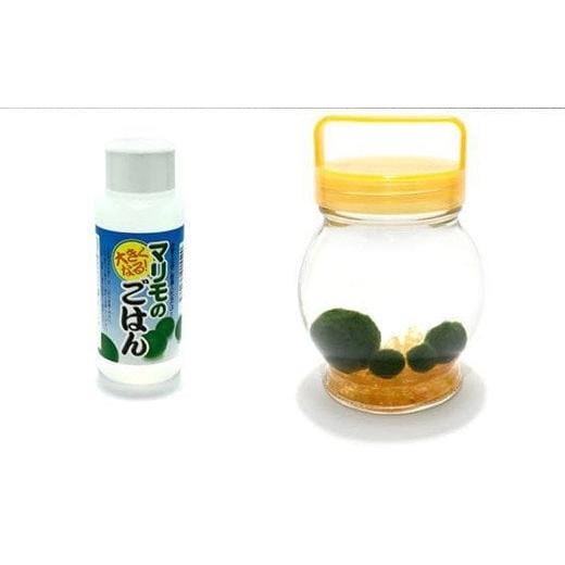 ふるさと納税 北海道 釧路市 釧路限定酒「海霧」と阿寒まりもセット（オレンジ） 北海道 釧路 ふるさと納税 まりもようかん 養殖まりも 飼育 日本酒 アルコー… 釧路産 ふるさと納税 北海道 オレンジ